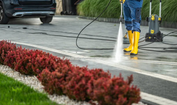 Best Solar Panel Cleaning  in Combine, TX